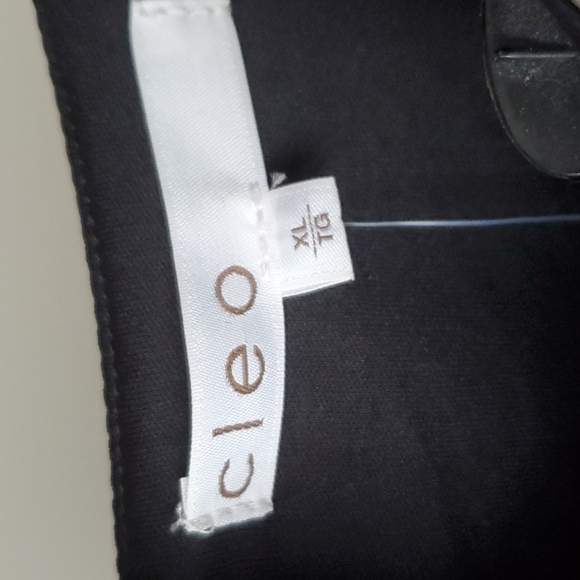 Pink metallic foil blossom floral print Cleo princess cut dress in size XL - Picture 3 of 15